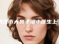 武汉市大鼻子缩小医生上榜清单排上榜的有哪些-武汉市大鼻子缩小整形医生