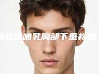 河北省哺乳胸部下垂松驰医生排名榜个个都是实力派医生_来选-王丽英医生你比较中意吗