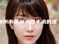 锦州市鼻翼大做手术的医院-锦州朗悦医疗美容公立私立pk详情