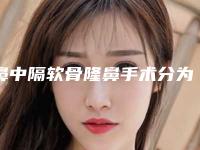 鼻中隔软骨隆鼻手术分为两个步骤进行（鼻中隔矫正是切掉软骨吗）